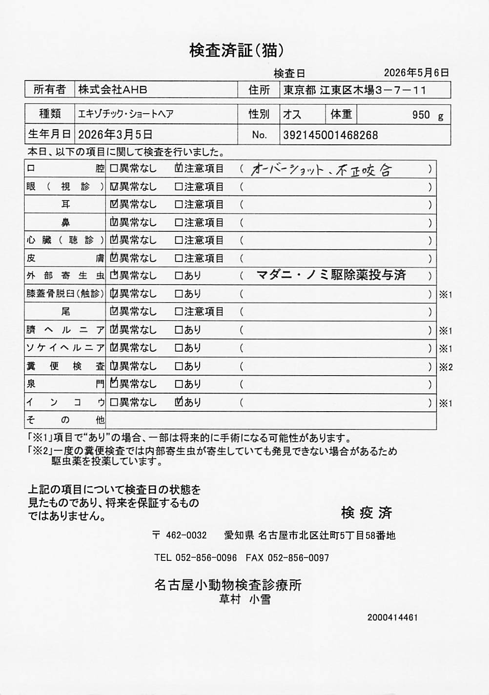 エキゾチック・ショートヘア