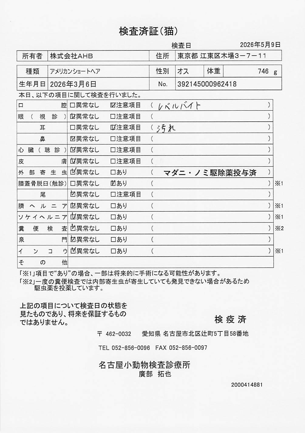 アメリカンショートヘア