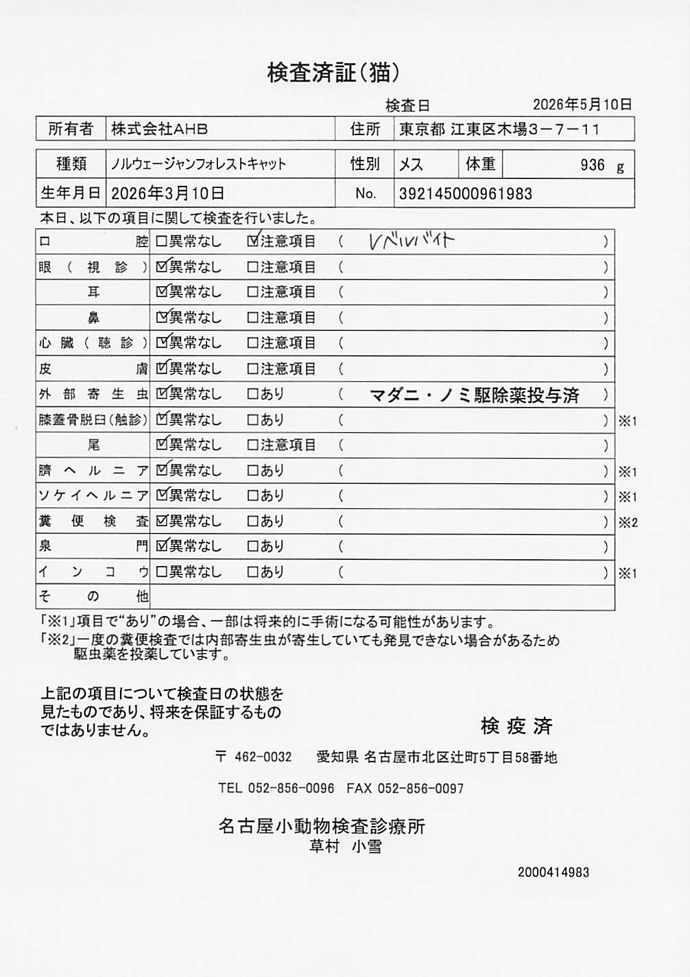ノルウェージャンフォレストキャット