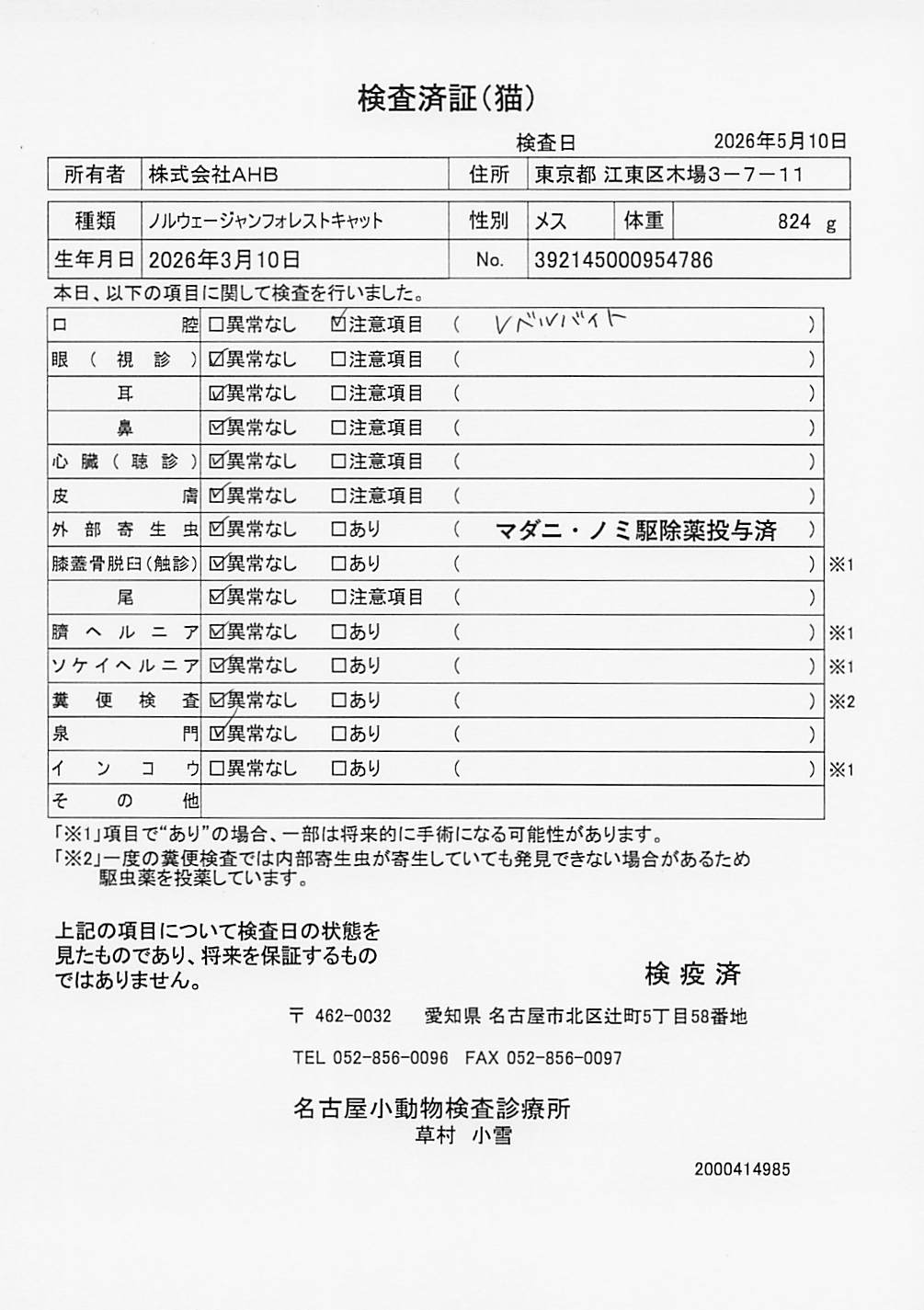 ノルウェージャンフォレストキャット