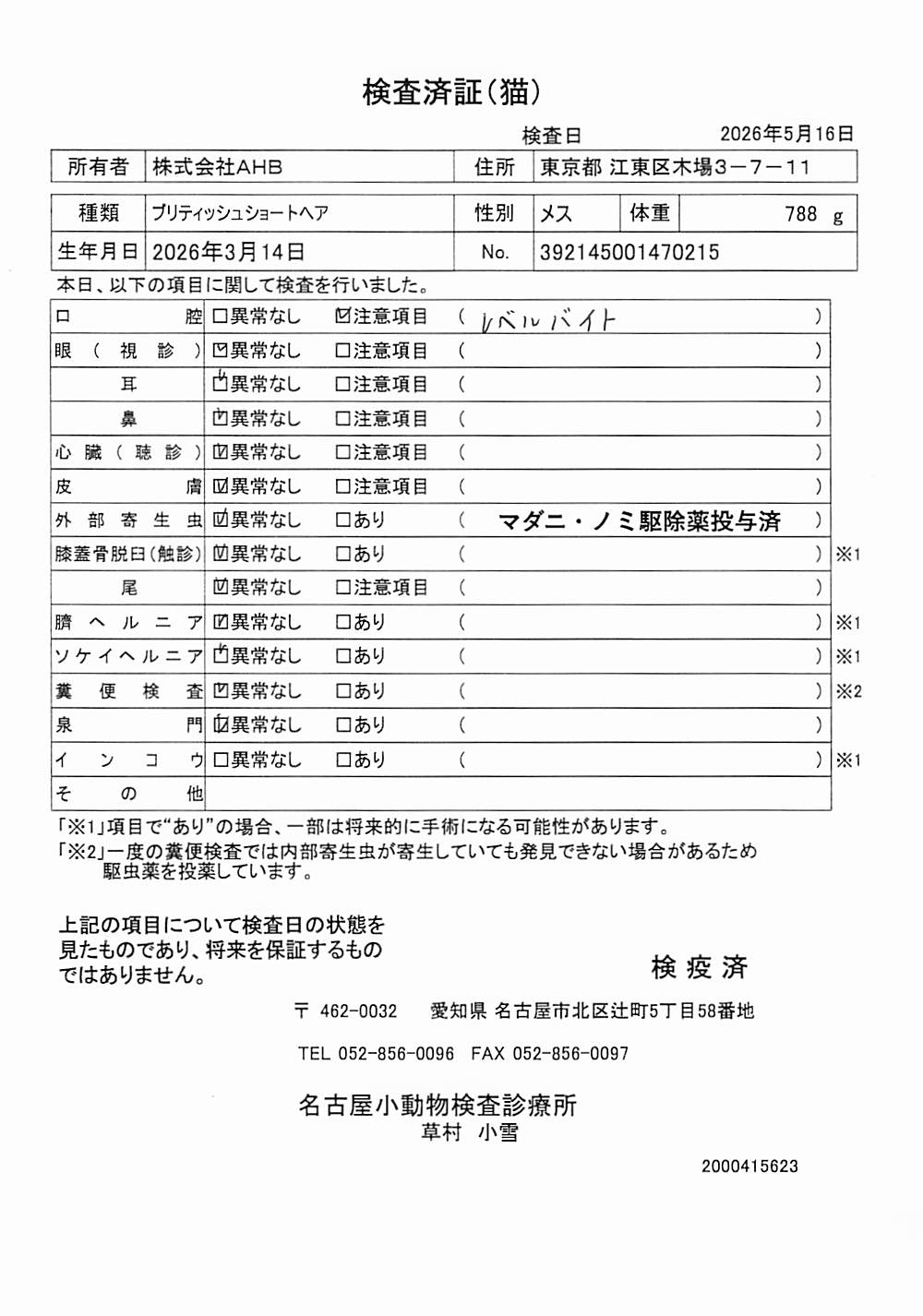 ブリティッシュショートヘア