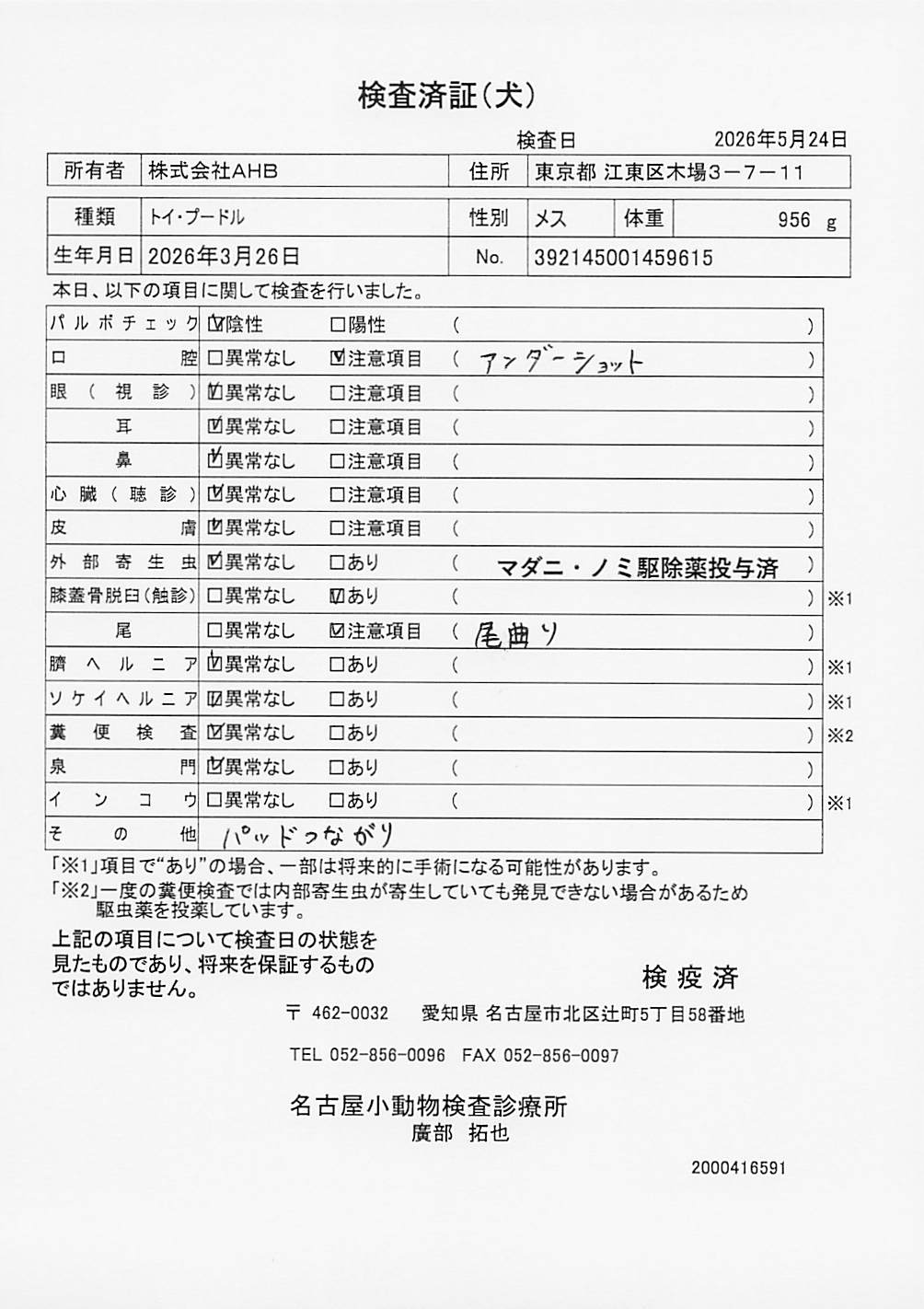 トイ・プードル