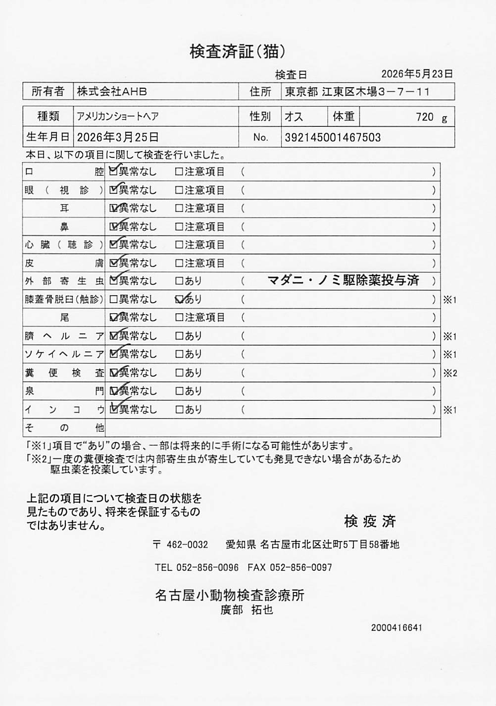 アメリカンショートヘア