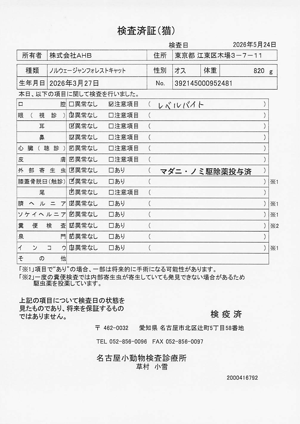 ノルウェージャンフォレストキャット
