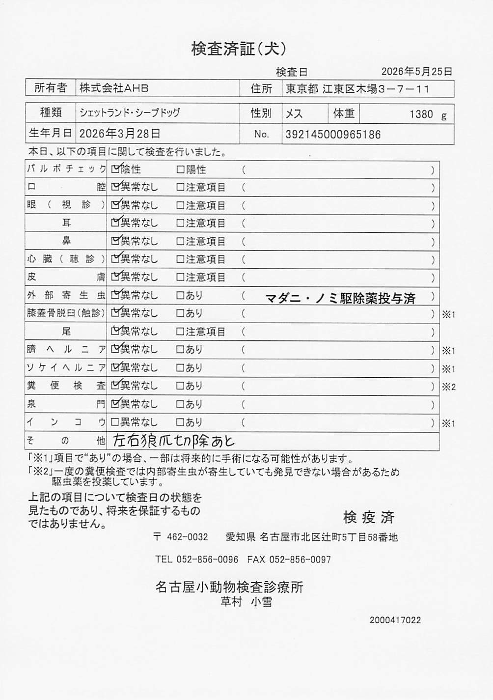 シェットランド・シープドッグ