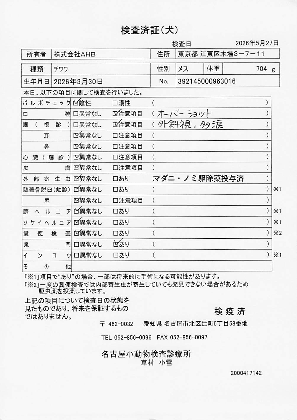 チワワ