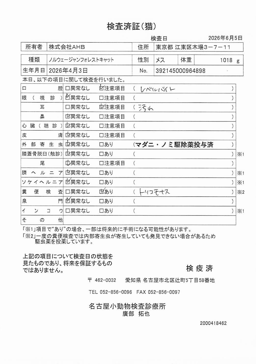 ノルウェージャンフォレストキャット