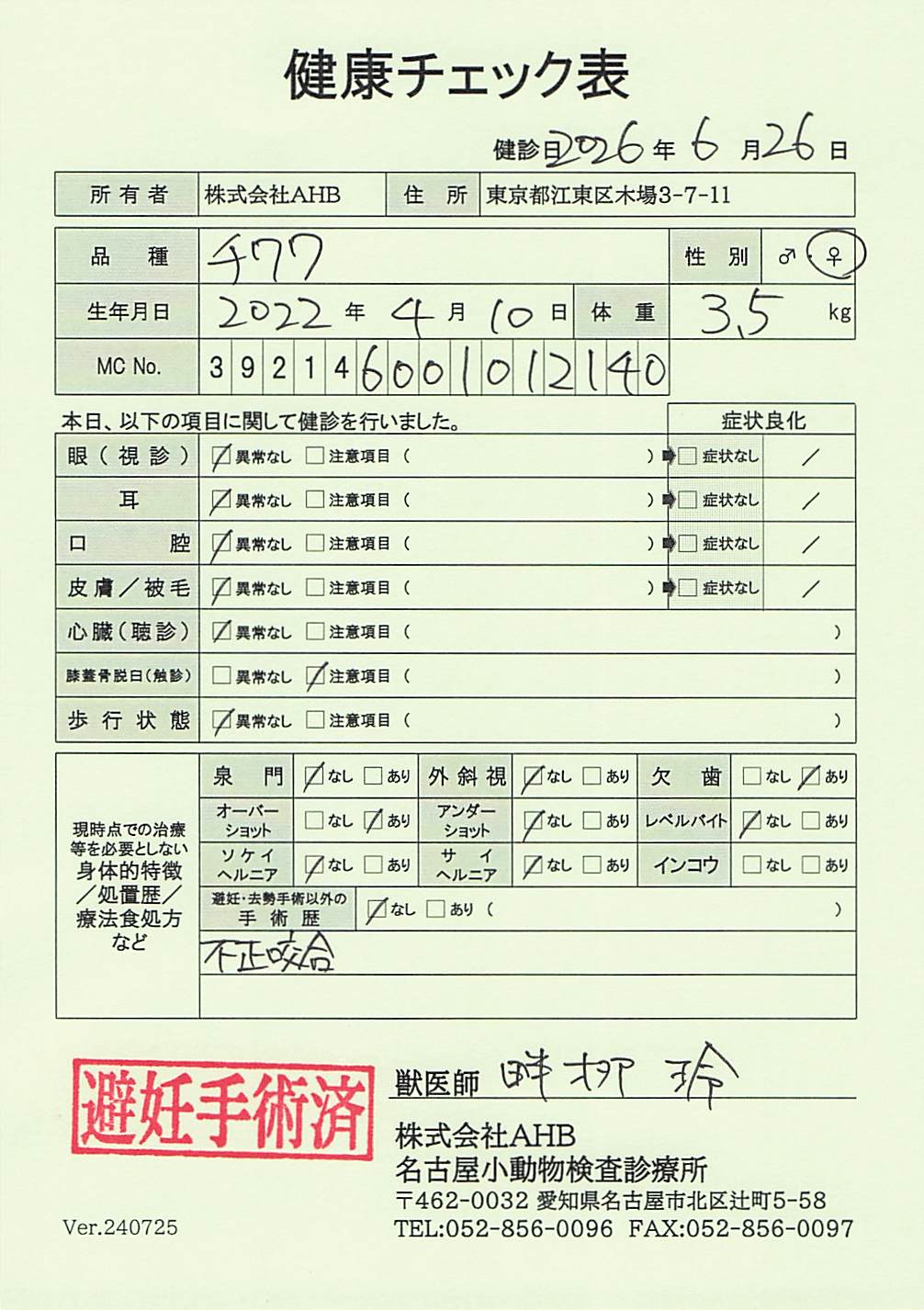 チワワ