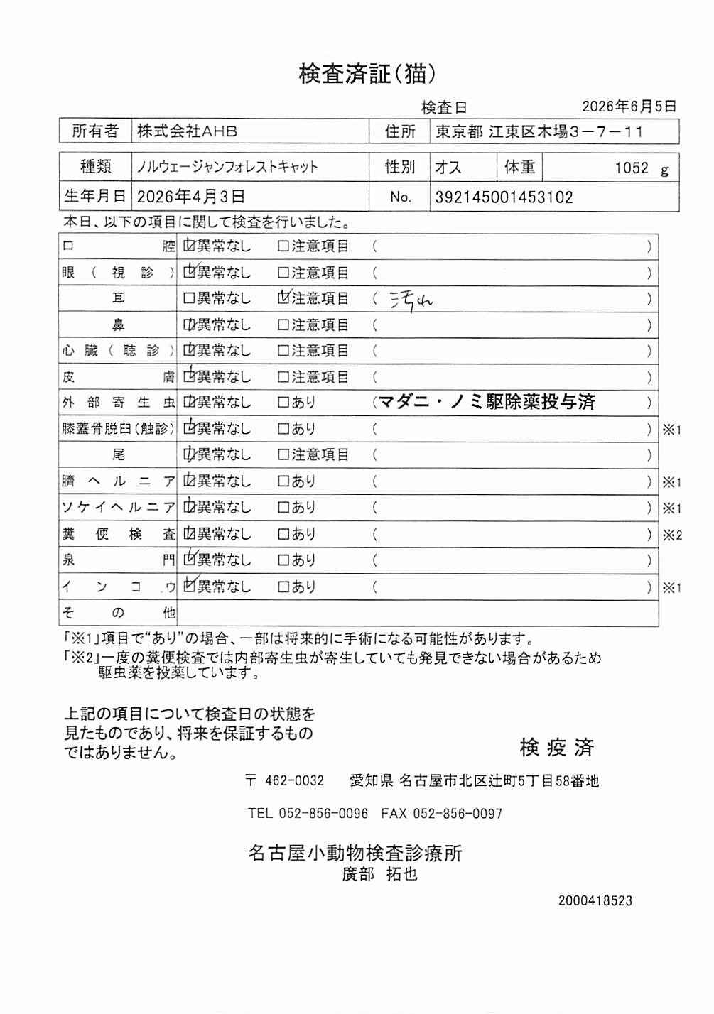 ノルウェージャンフォレストキャット