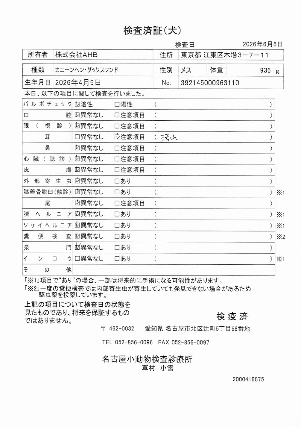 カニーンヘン・ダックスフンド