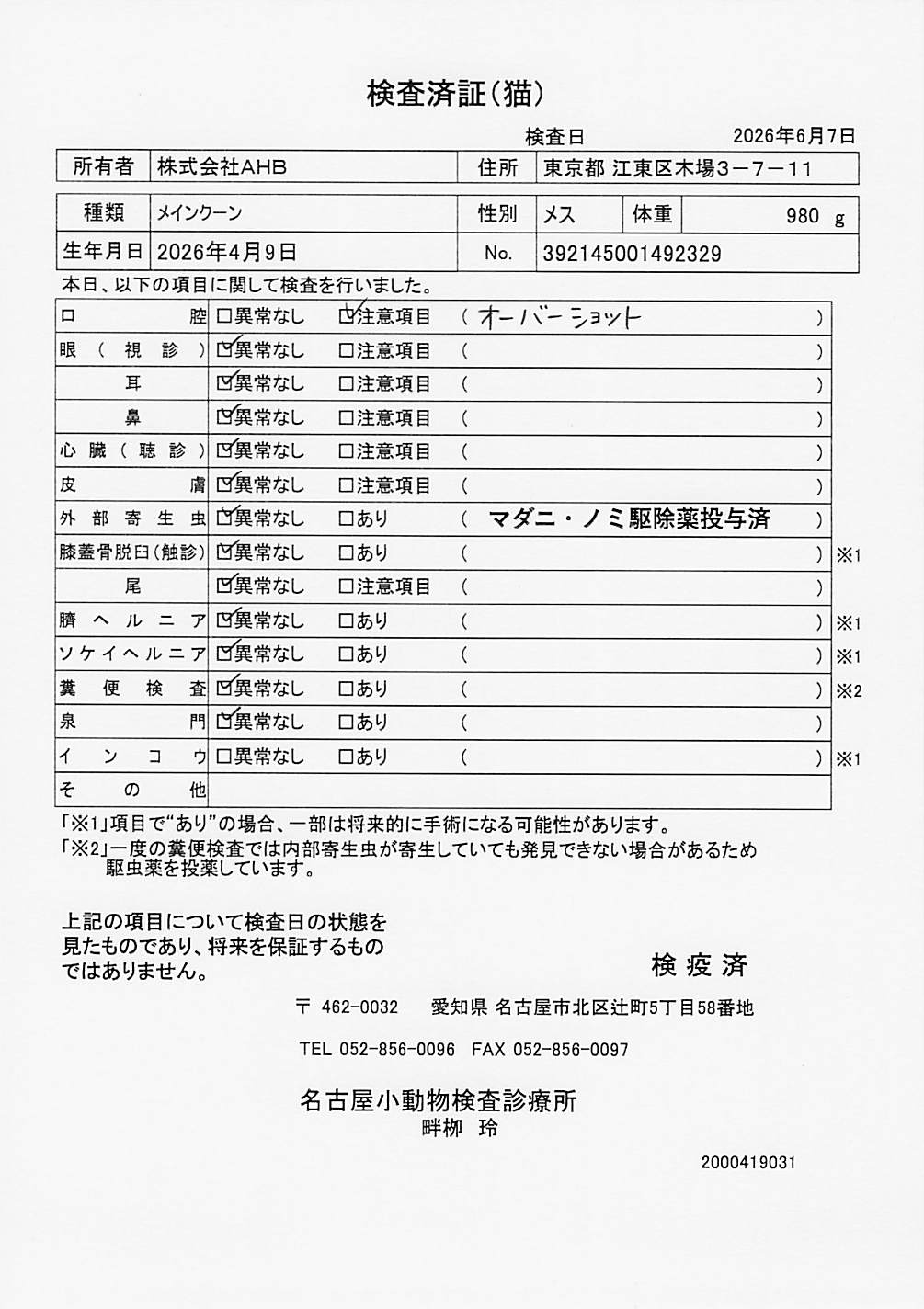 メインクーン