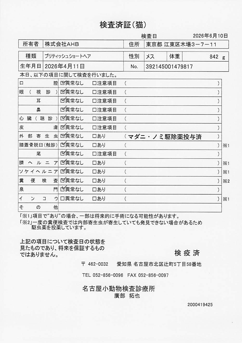 ブリティッシュショートヘア