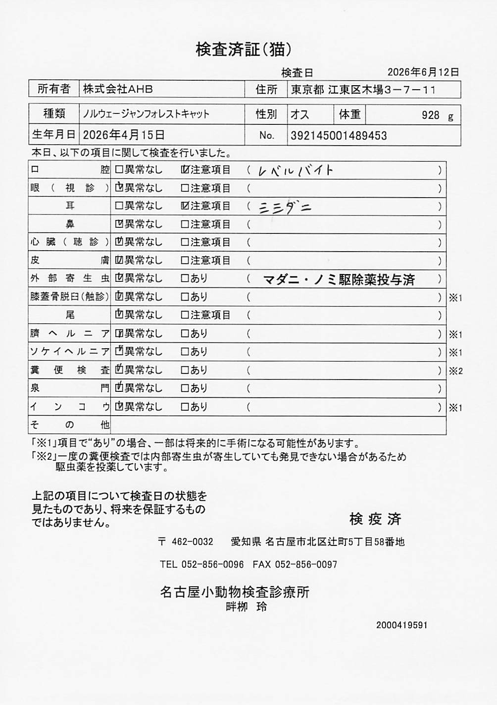 ノルウェージャンフォレストキャット