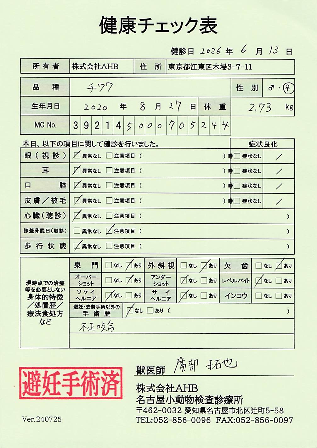 チワワ