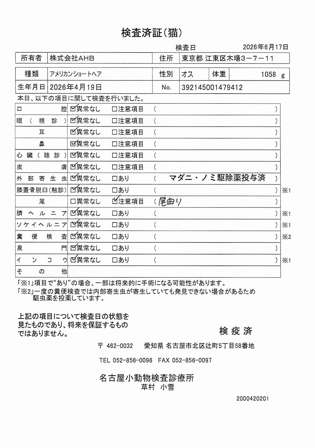 アメリカンショートヘア