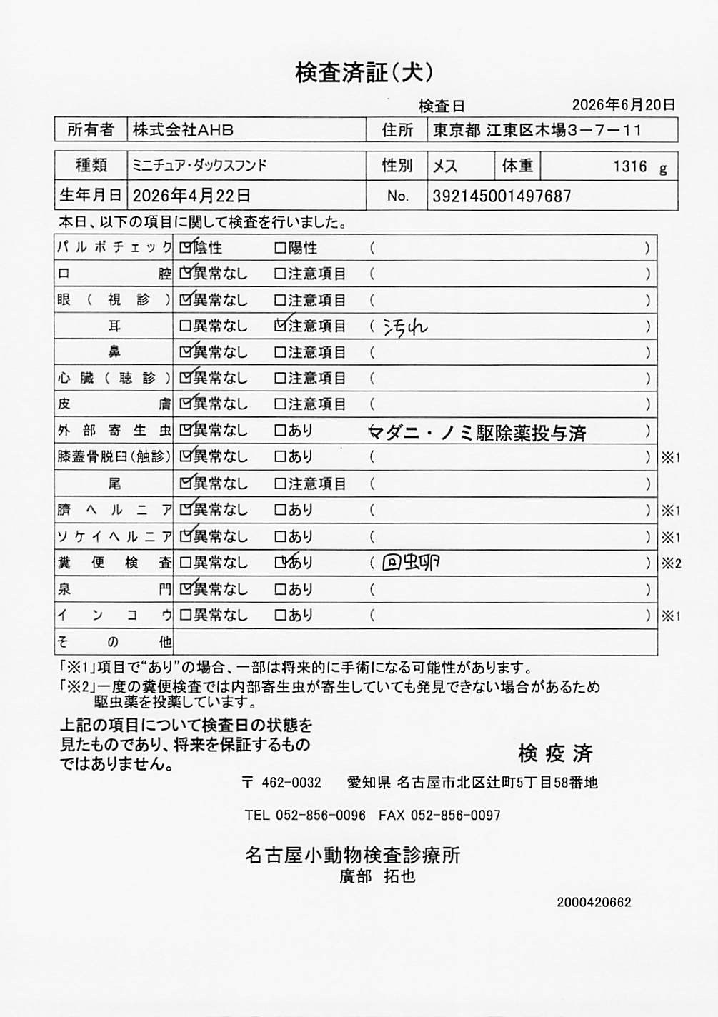 ミニチュア・ダックスフンド