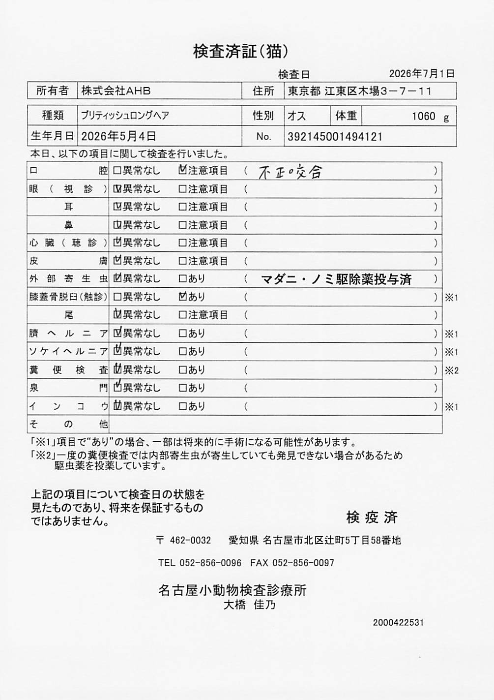 ブリティッシュロングヘア