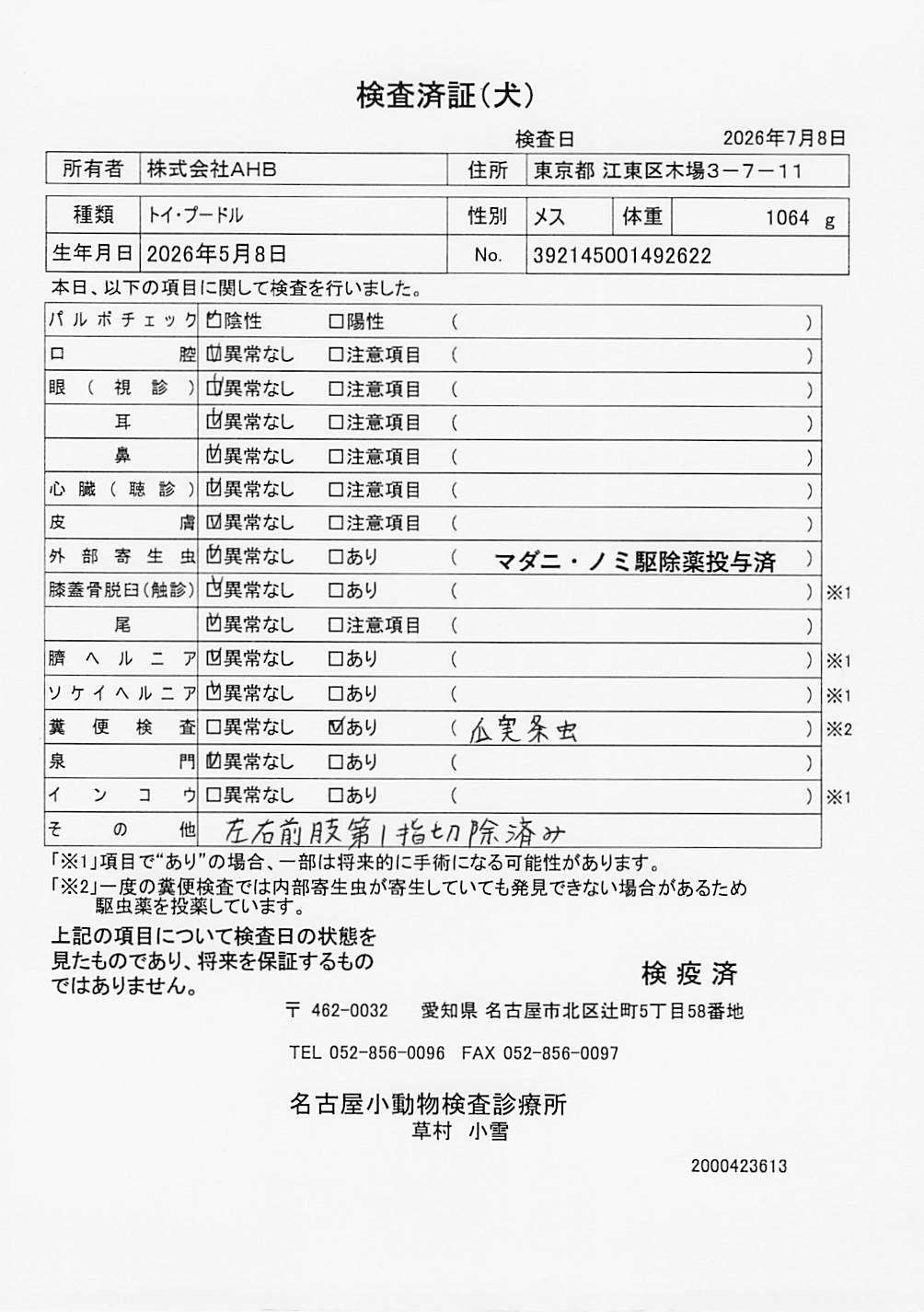 トイ・プードル