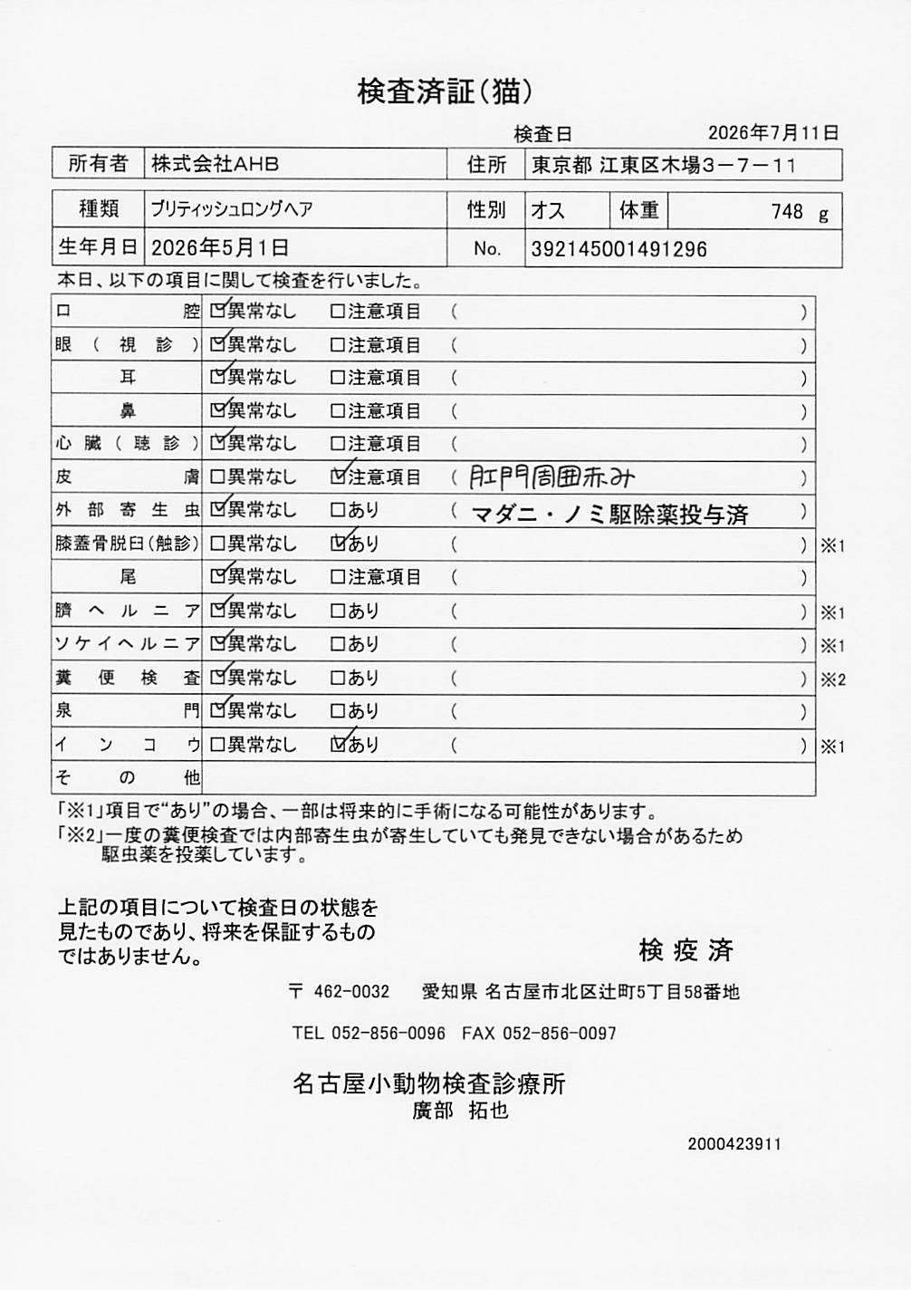 ブリティッシュロングヘア