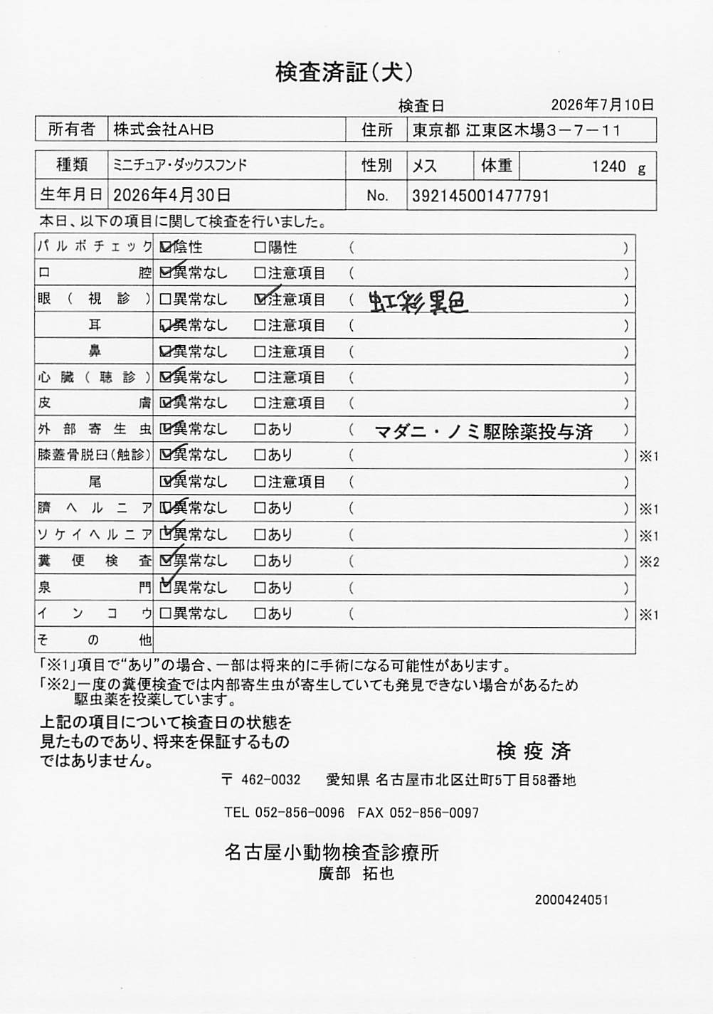 ミニチュア・ダックスフンド