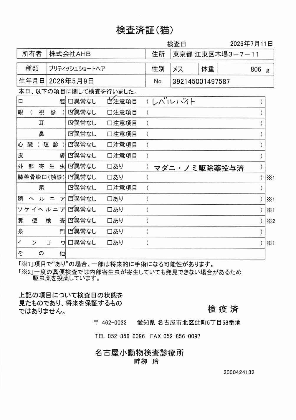 ブリティッシュショートヘア