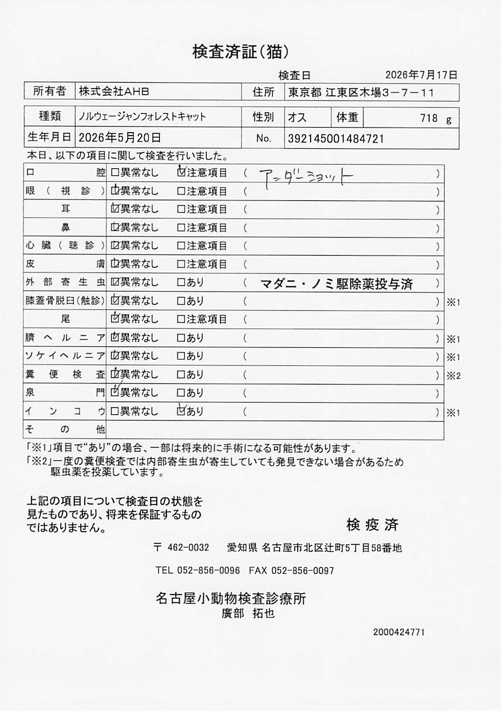 ノルウェージャンフォレストキャット
