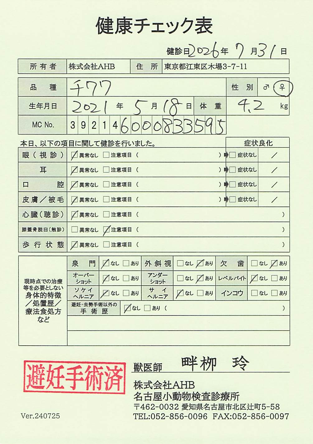 チワワ
