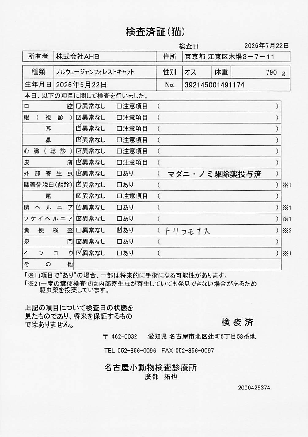 ノルウェージャンフォレストキャット