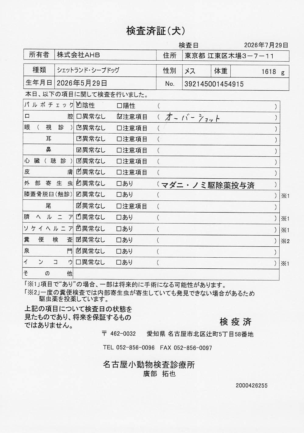 シェットランド・シープドッグ