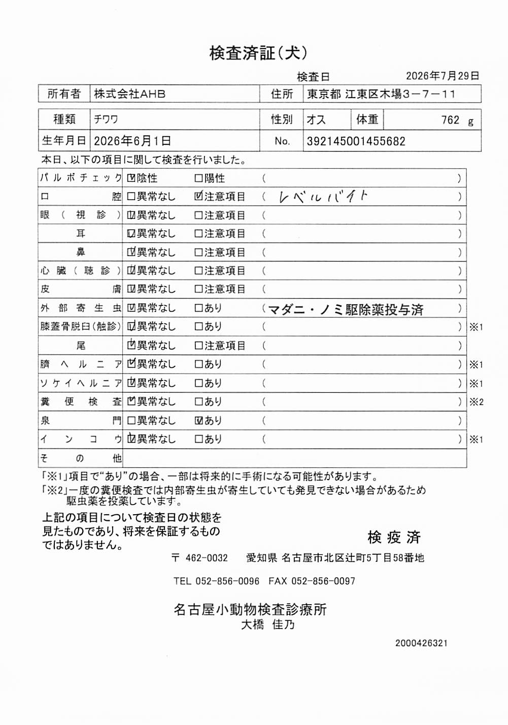 チワワ