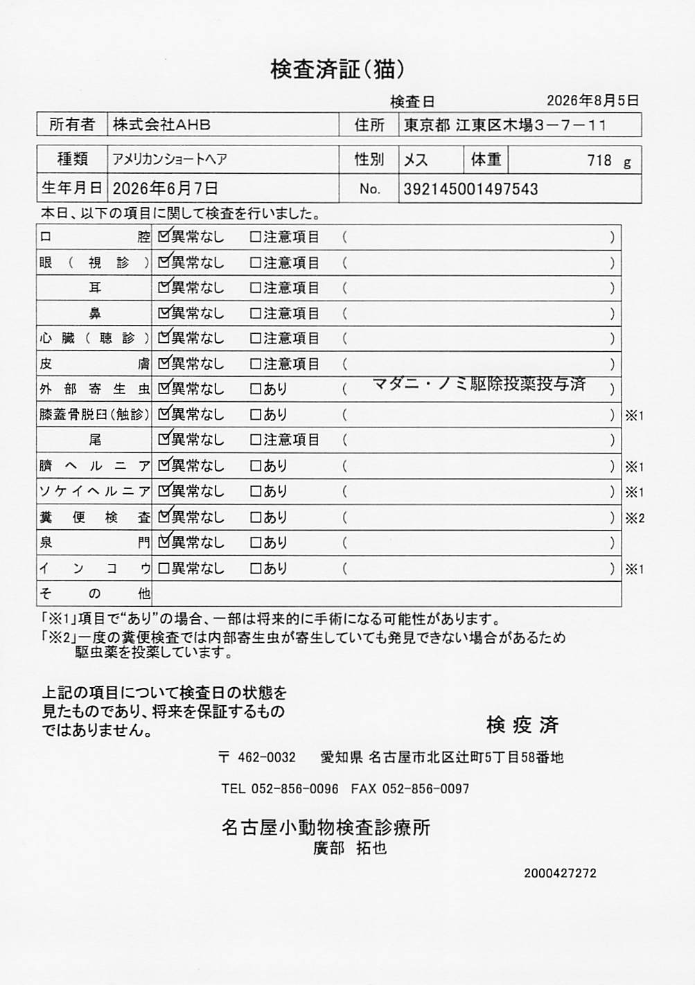 アメリカンショートヘア