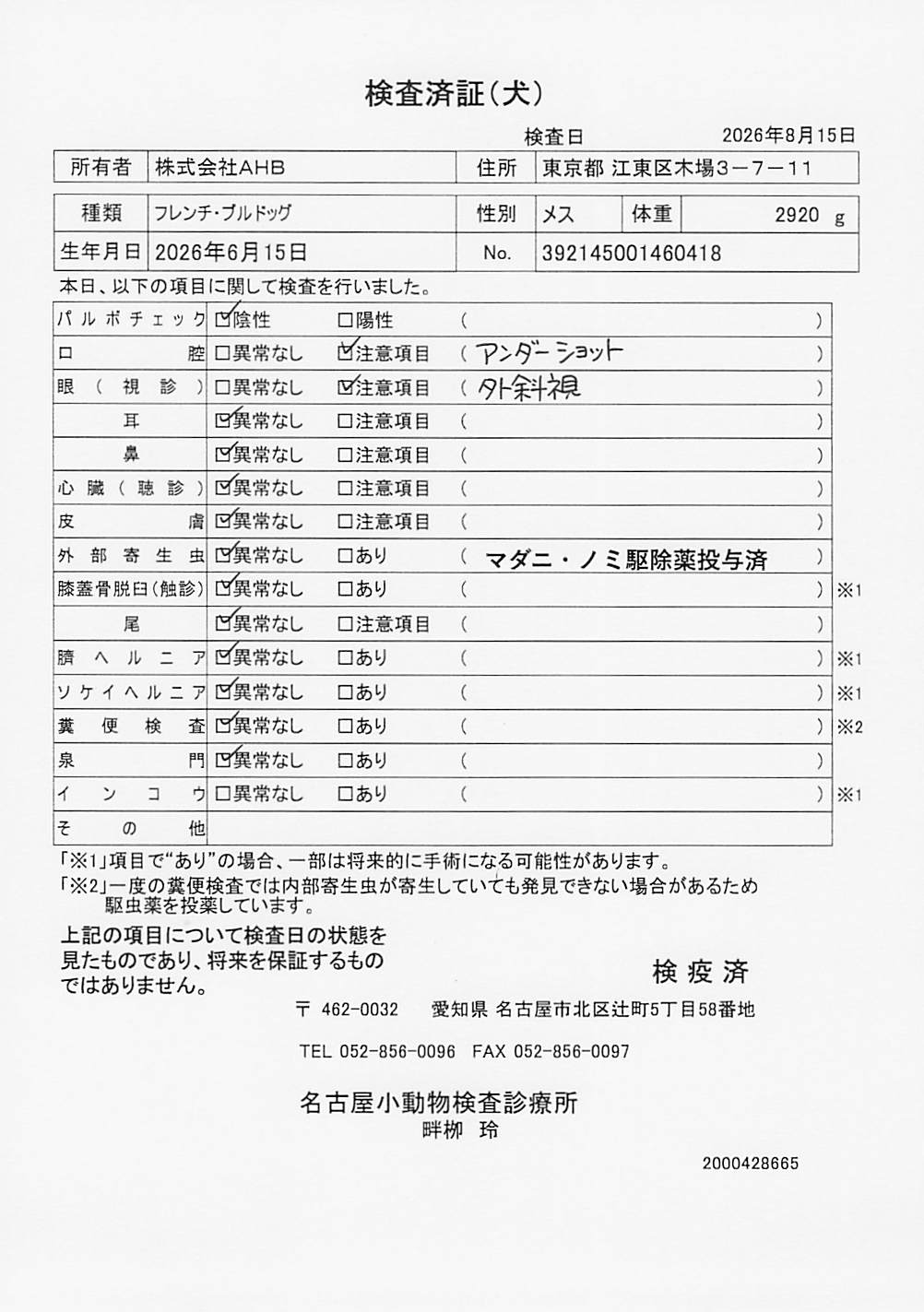 フレンチ・ブルドッグ