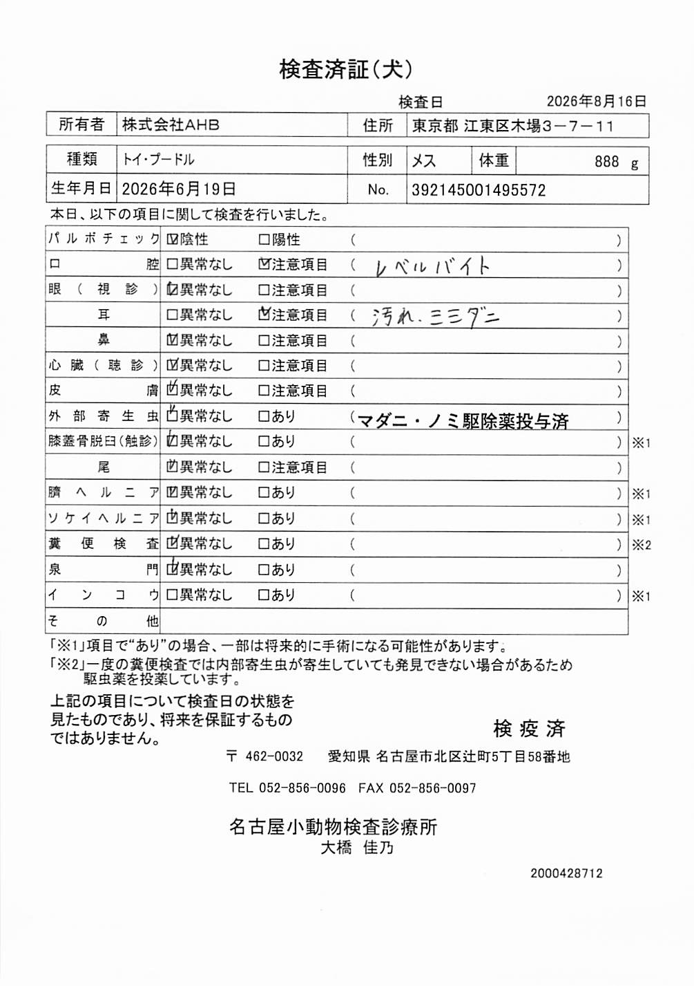 トイ・プードル