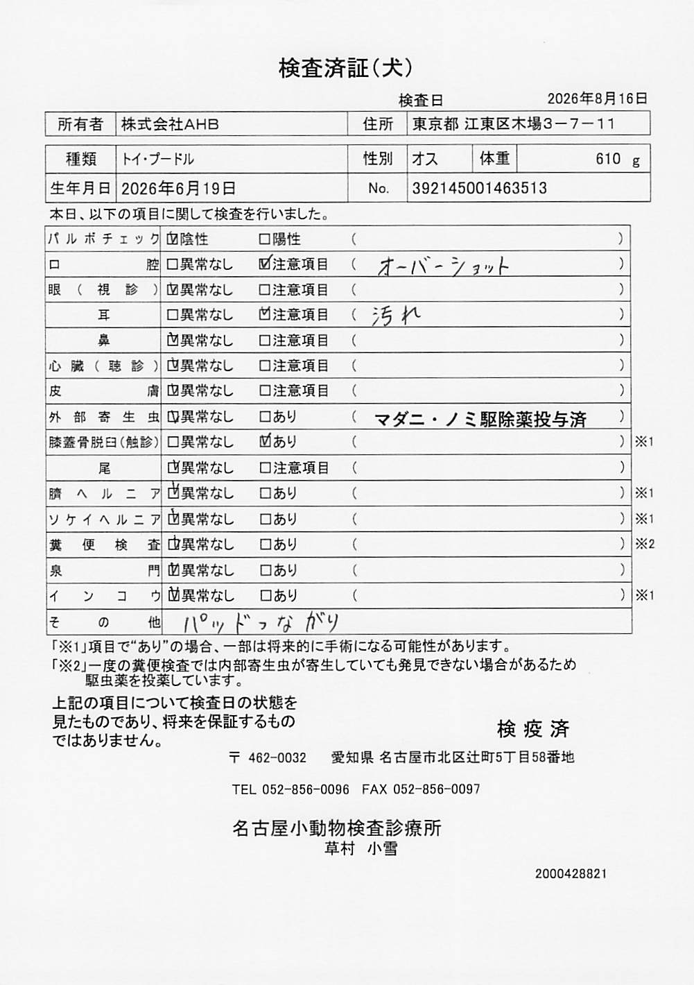 トイ・プードル