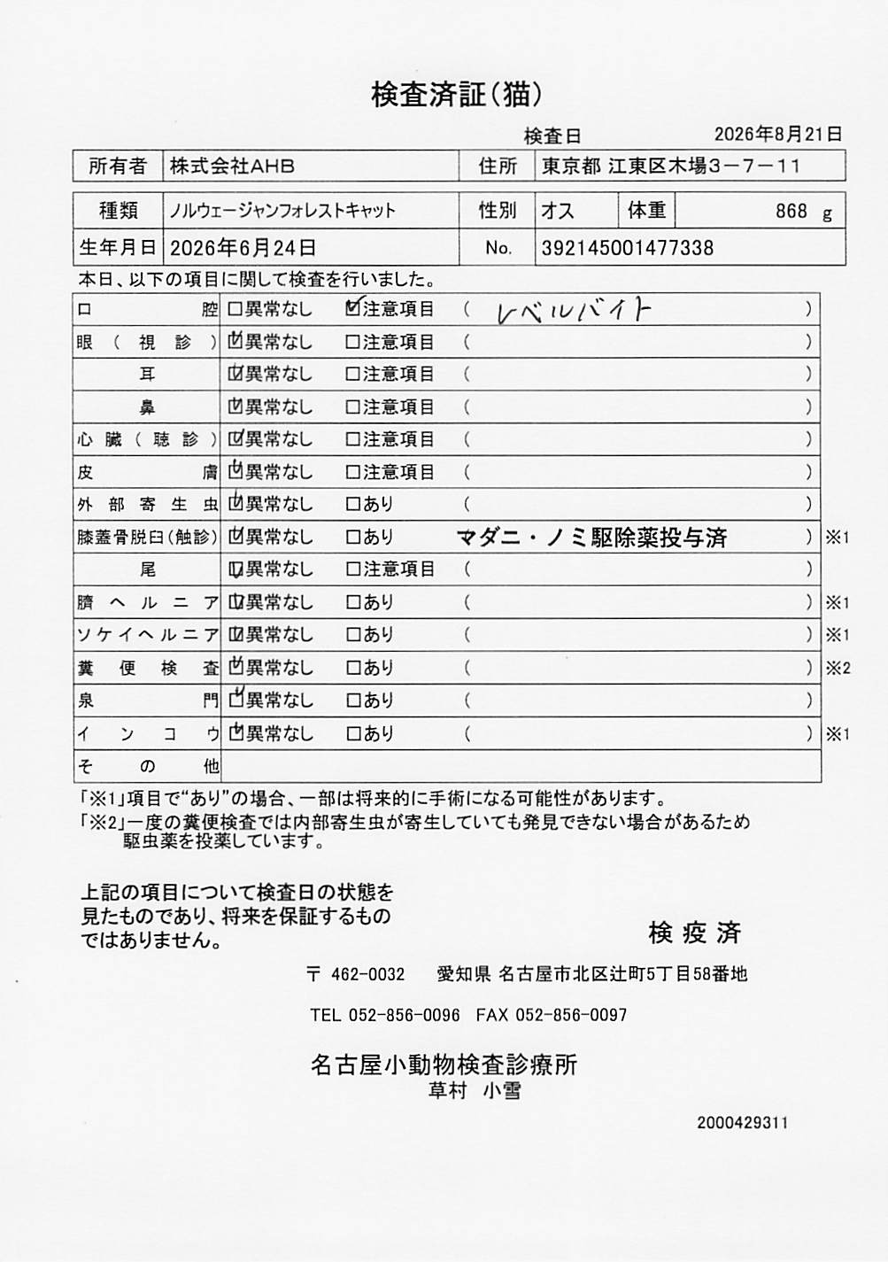 ノルウェージャンフォレストキャット