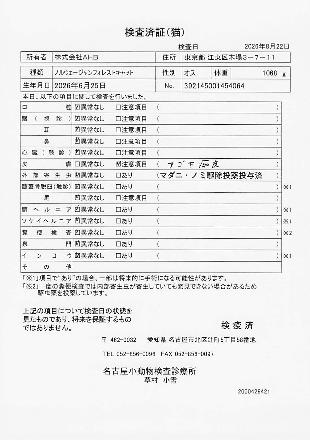 ノルウェージャンフォレストキャット