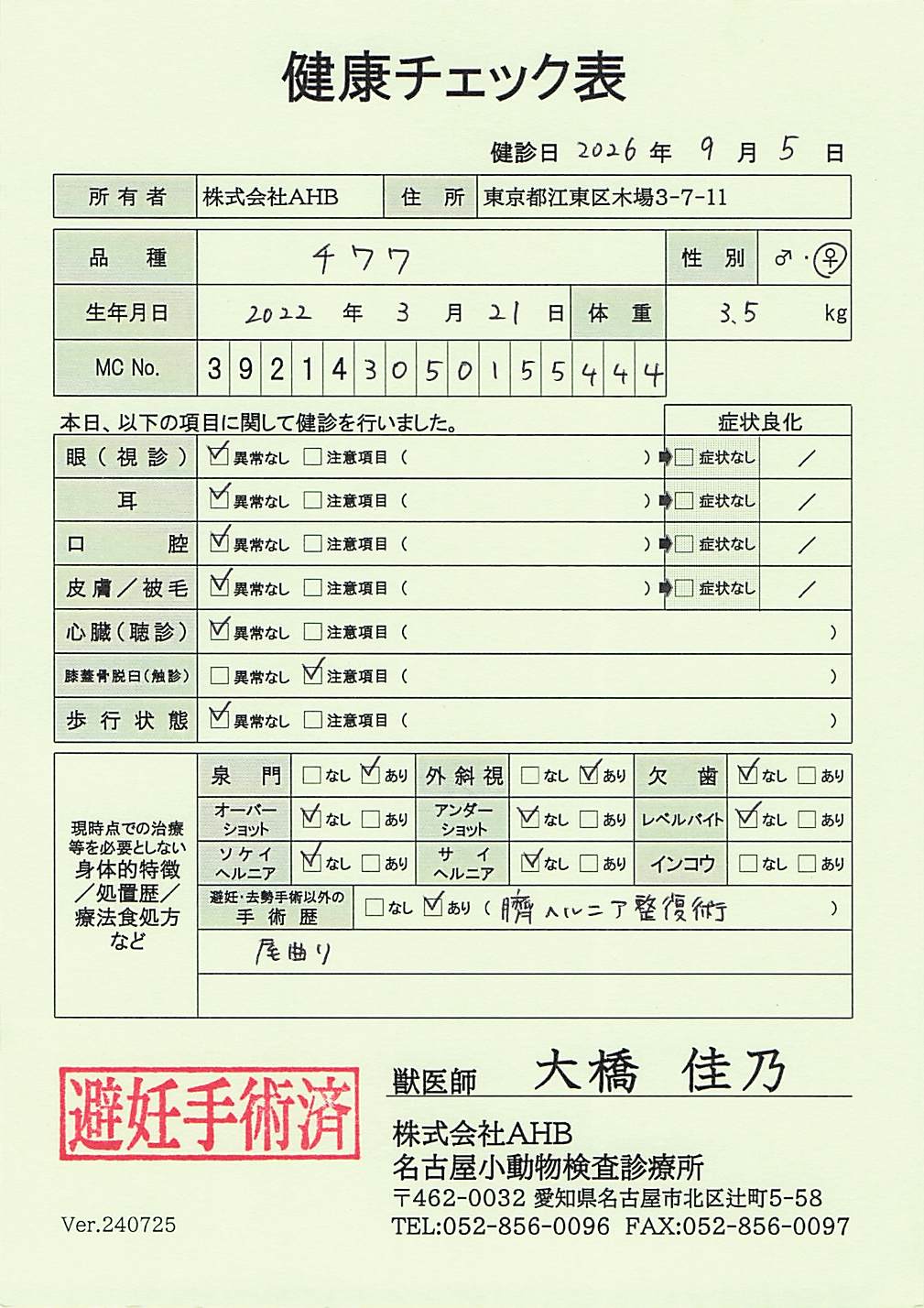 チワワ