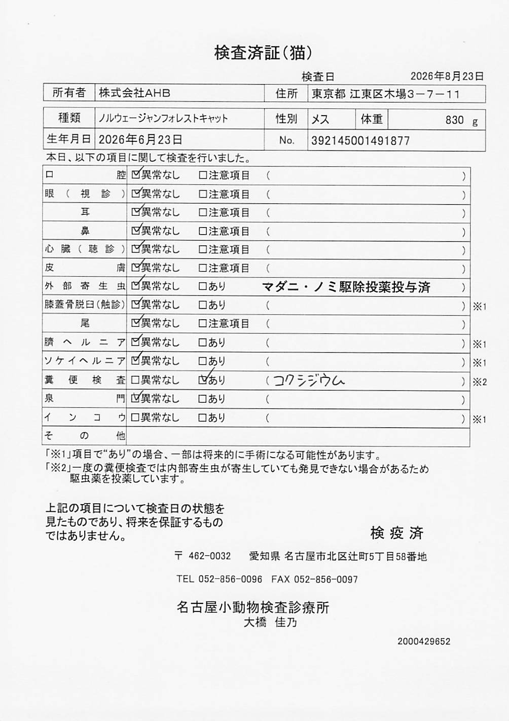 ノルウェージャンフォレストキャット