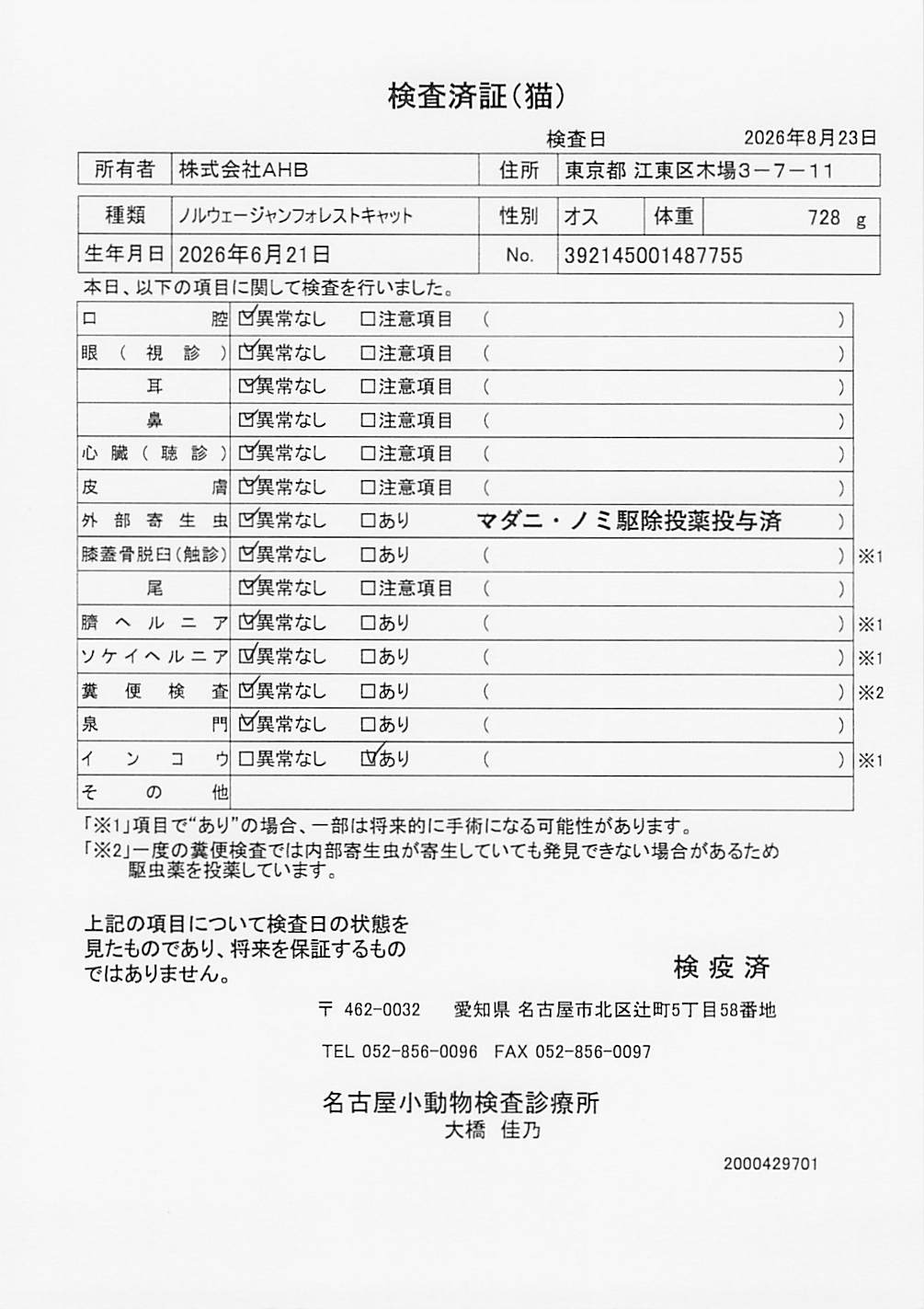 ノルウェージャンフォレストキャット