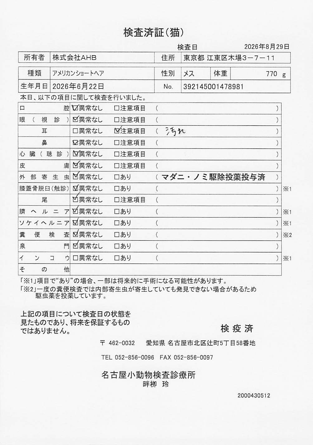 アメリカンショートヘア