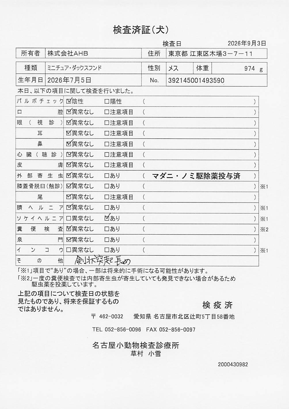 ミニチュア・ダックスフンド
