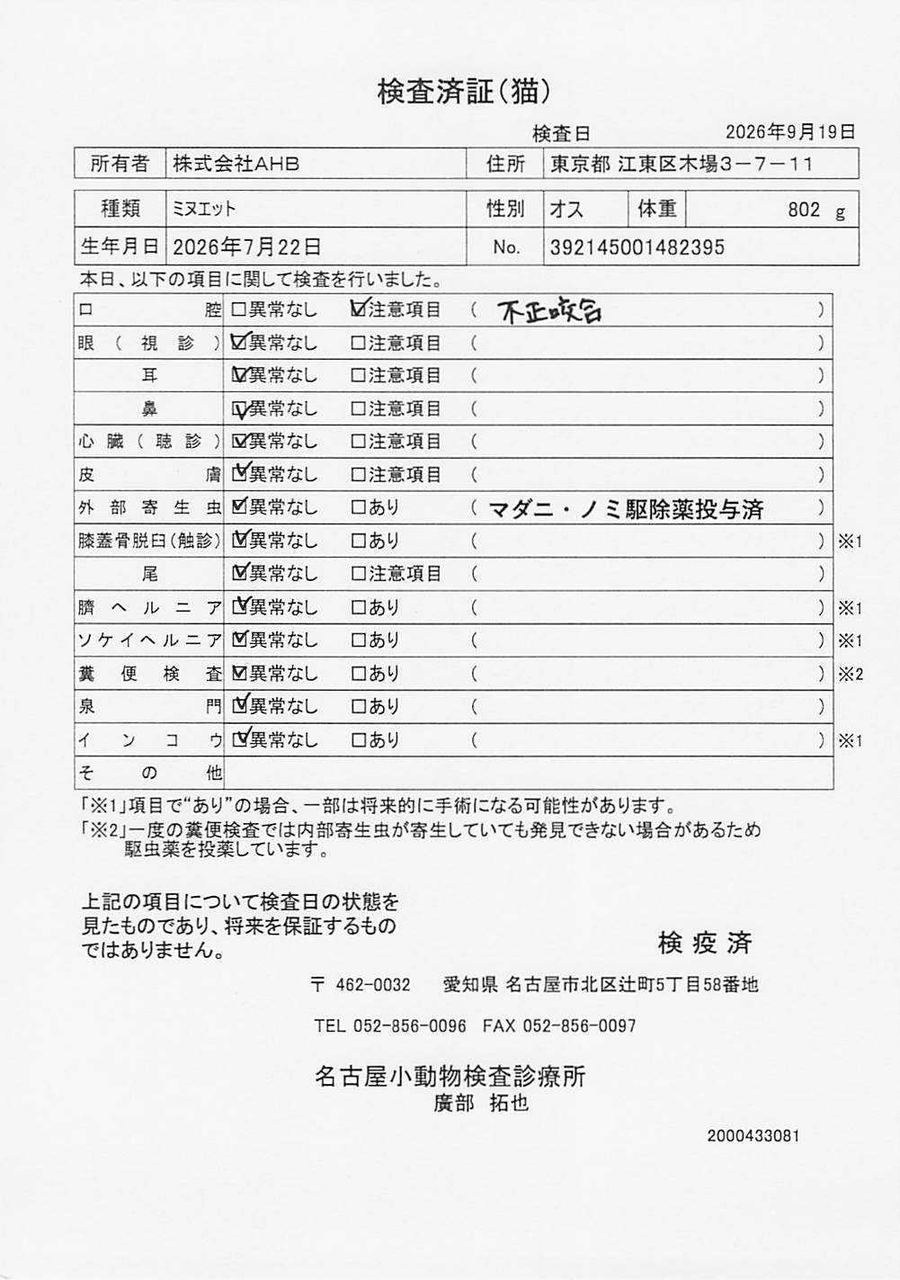 ミヌエット