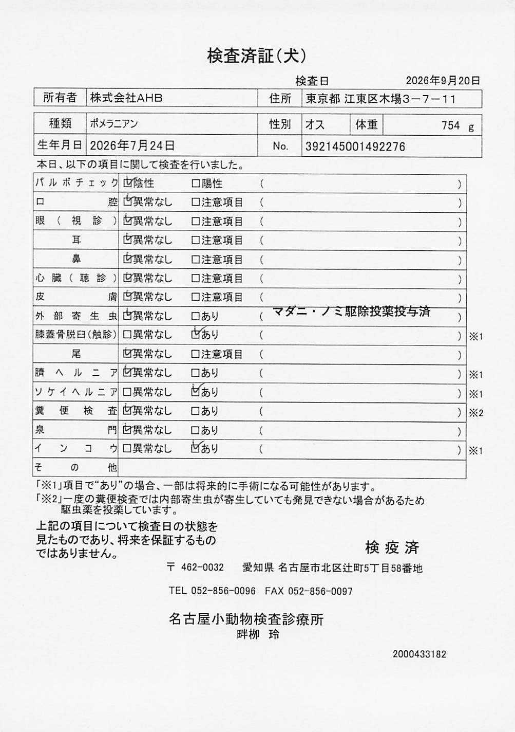 ポメラニアン