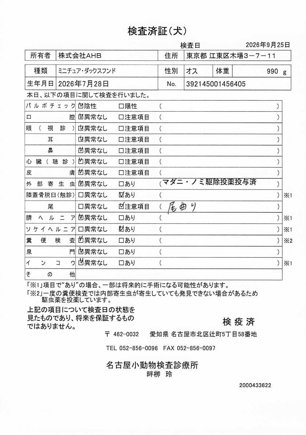 ミニチュア・ダックスフンド