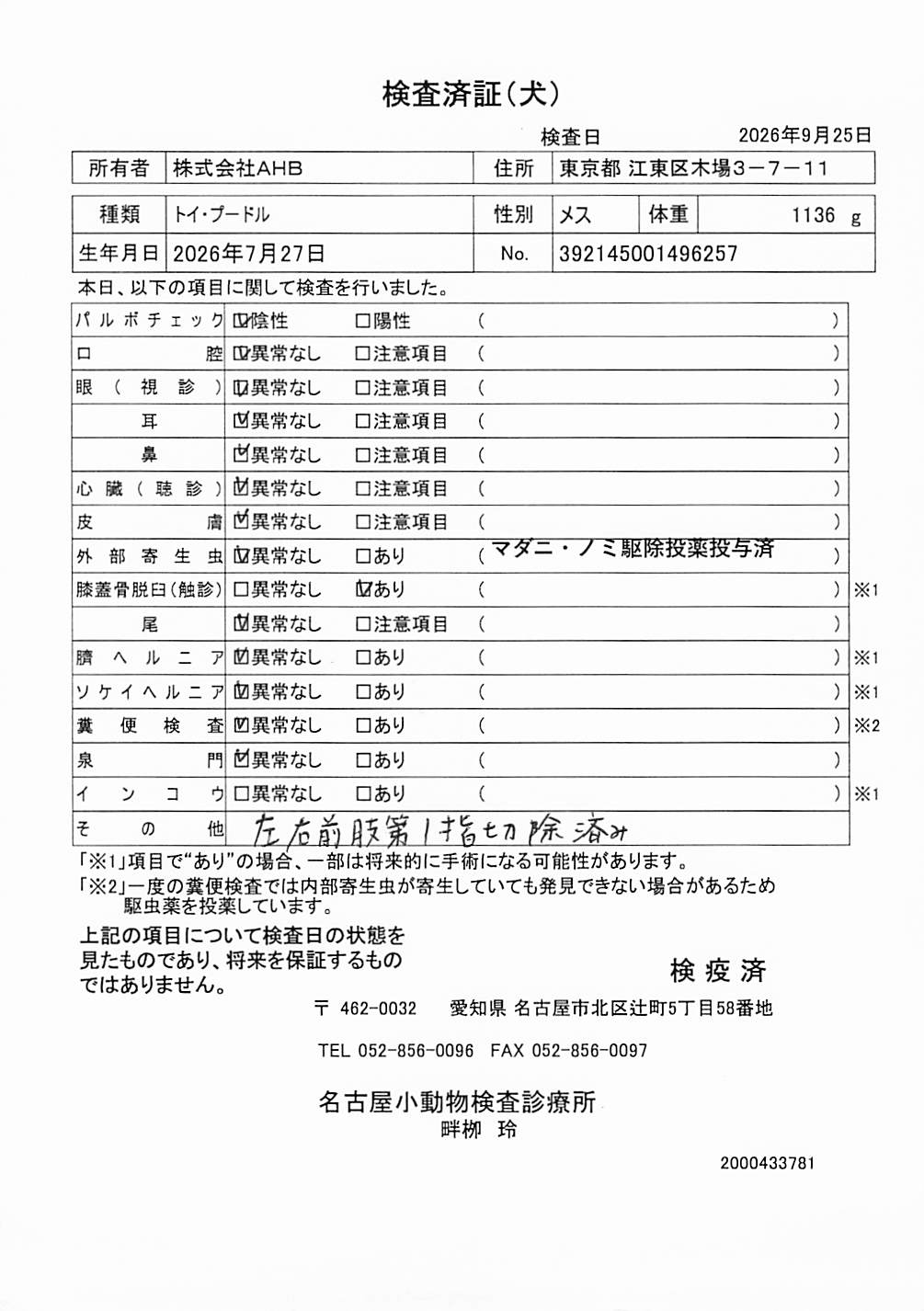 トイ・プードル