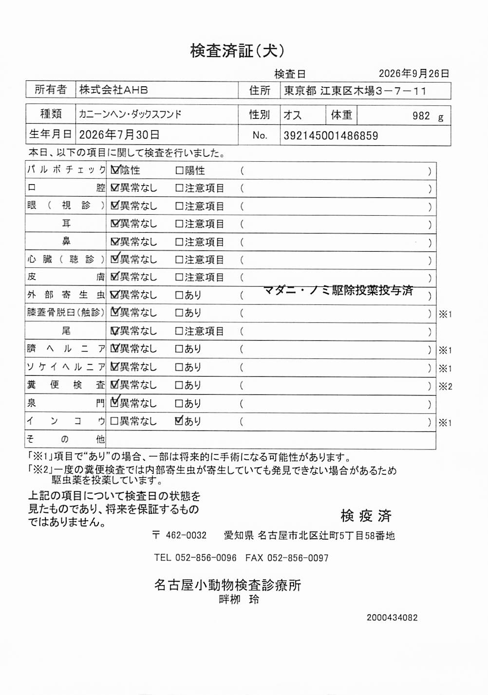 カニーンヘン・ダックスフンド