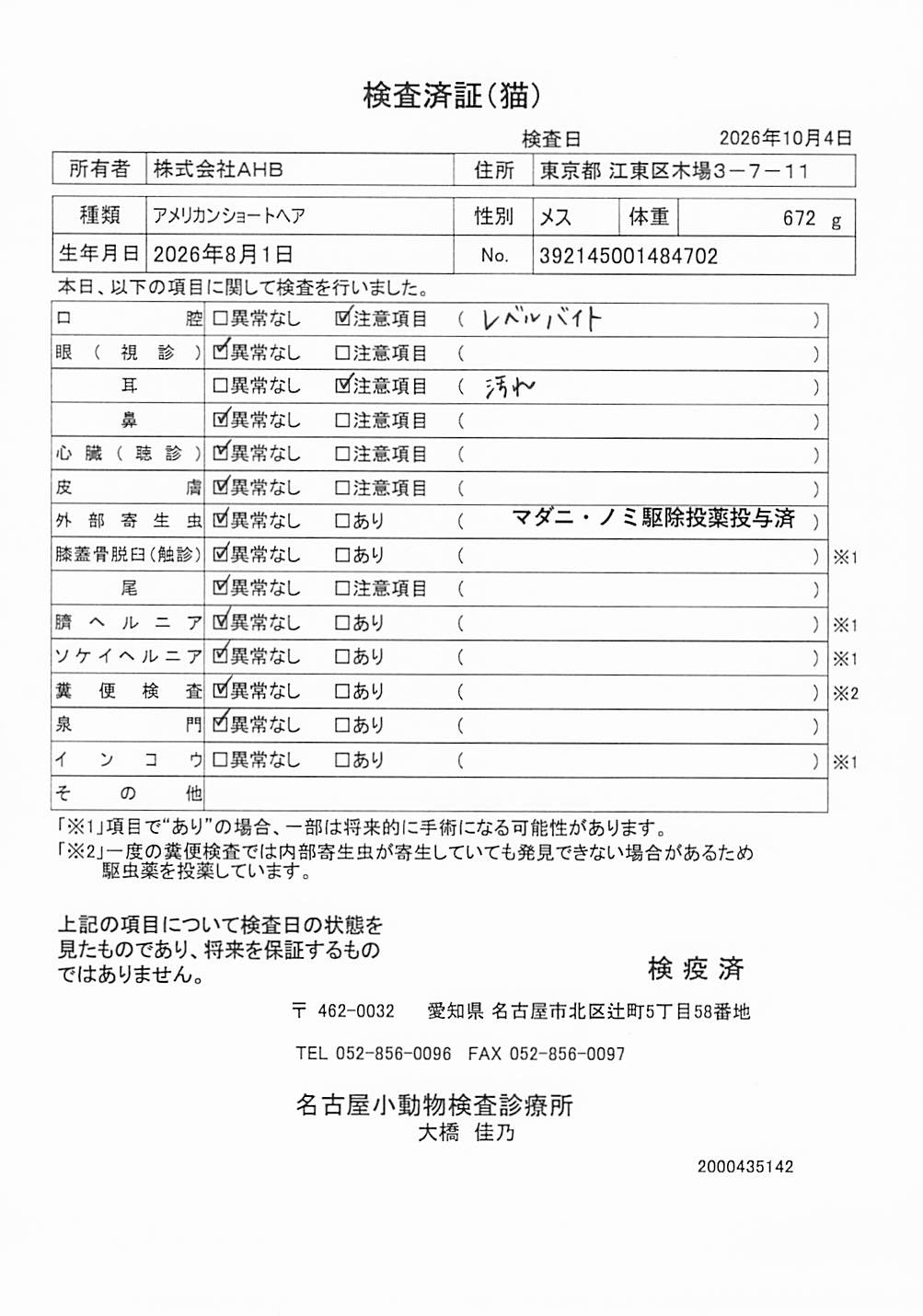 アメリカンショートヘア