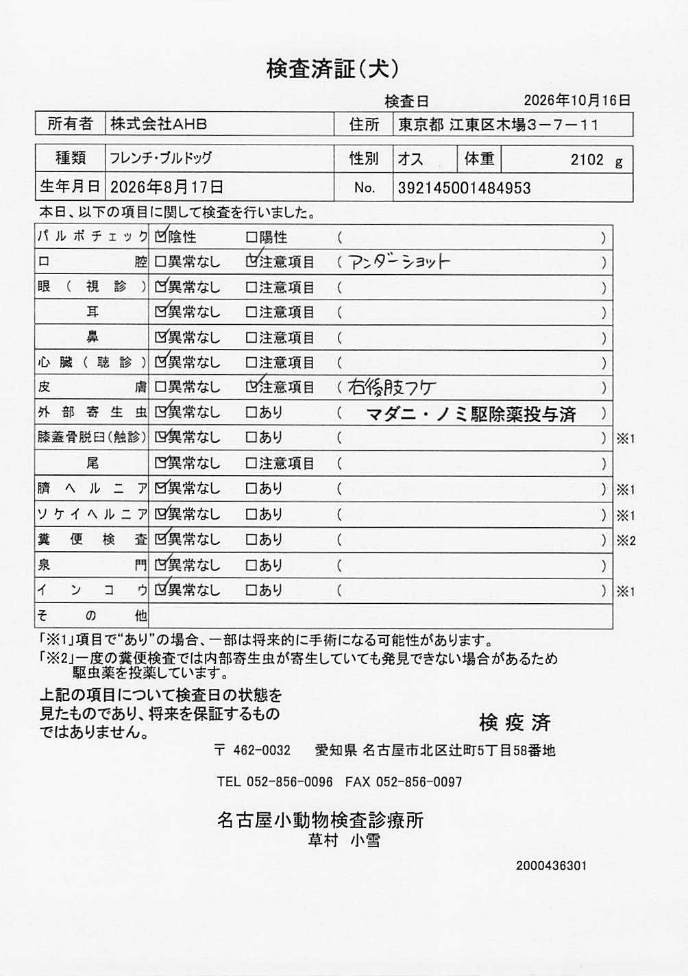 フレンチ・ブルドッグ