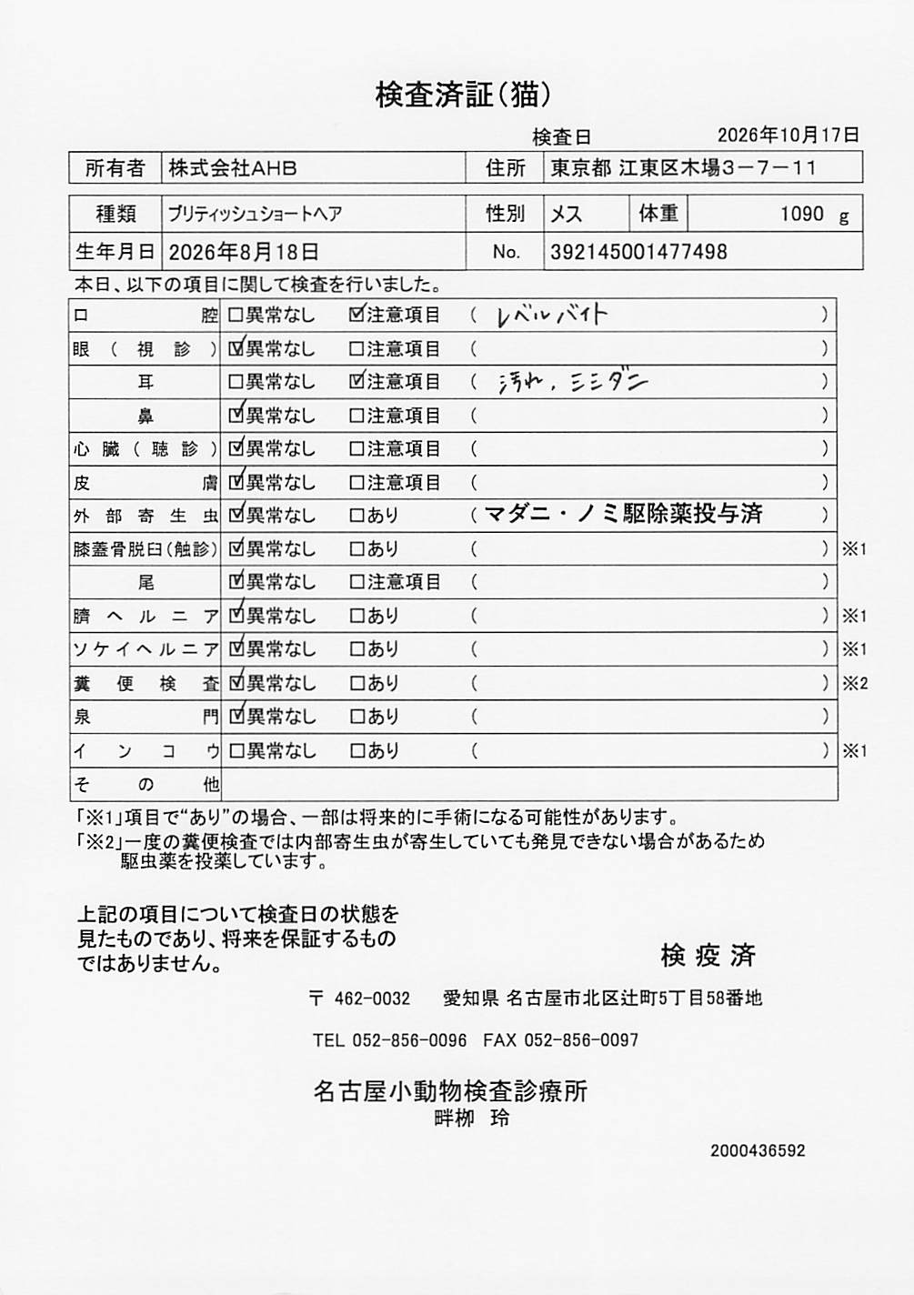ブリティッシュショートヘア
