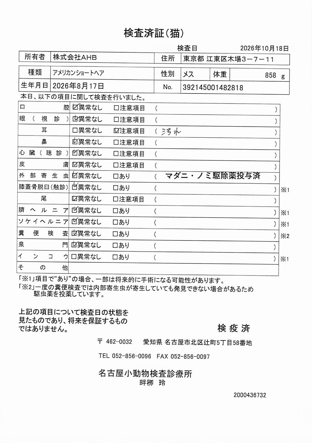 アメリカンショートヘア